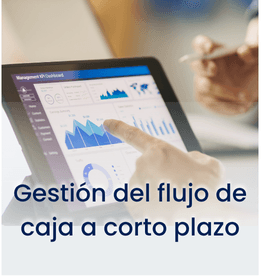 Gestión del flujo de caja a corto plazo