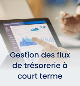 Gestion des flux de trésorerie à court terme