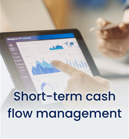 Short-term cash flow management